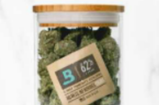 sience-of-cannabis-and-hemp
