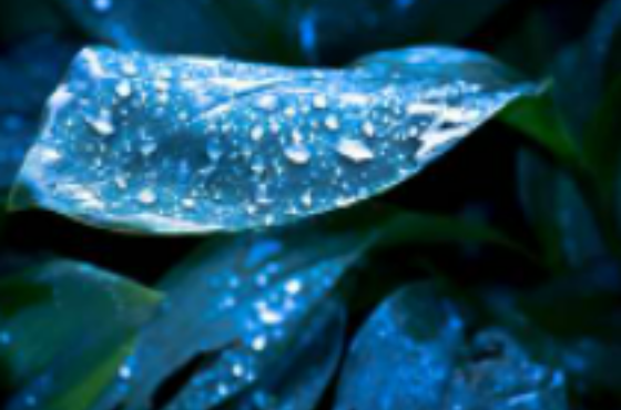  Humidity – It’s All About the Dew Point