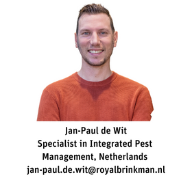 Jan-Paul de Wit